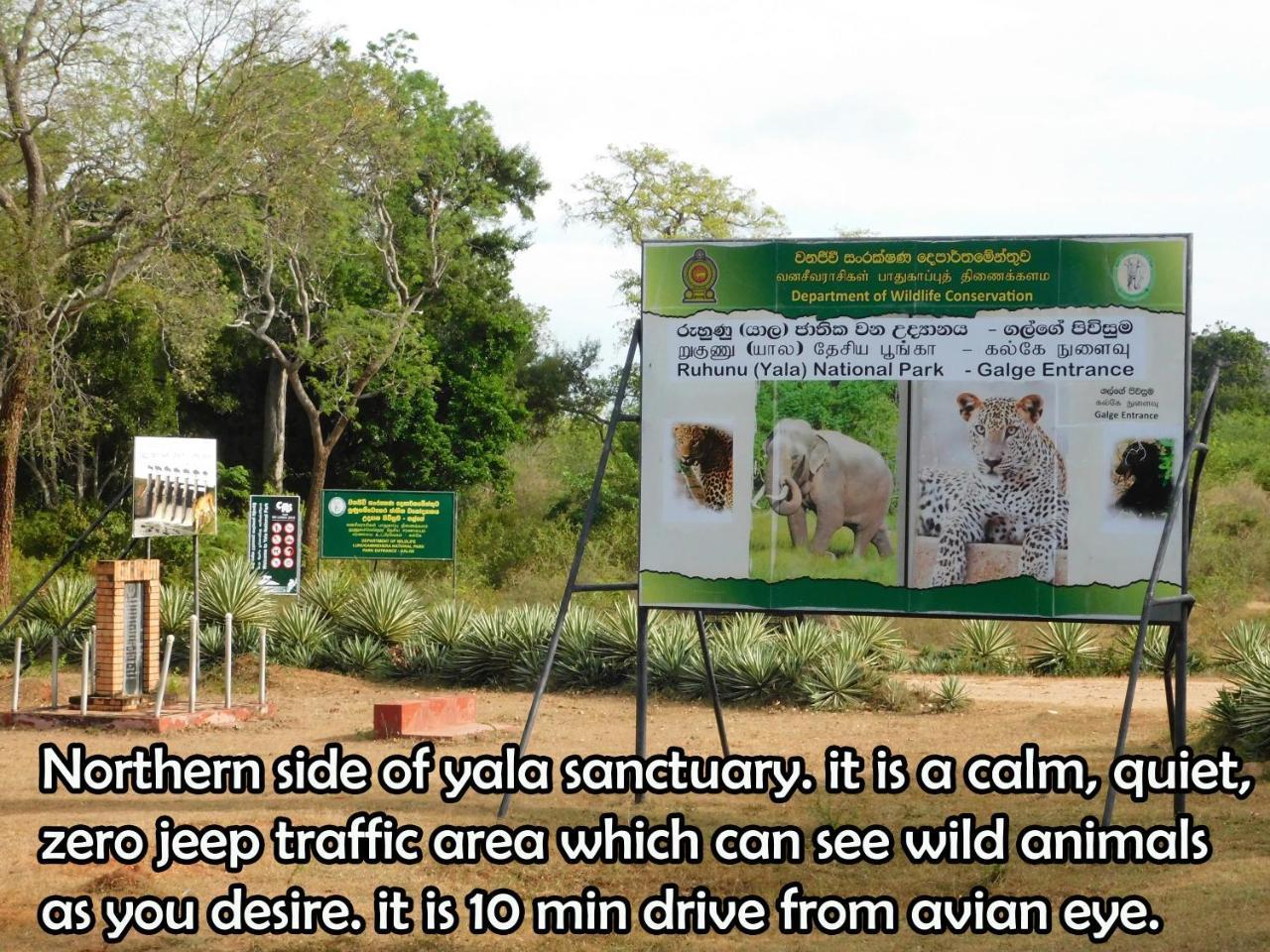 Ferienwohnung Yala Avian Eye Safari Buttala Exterior foto